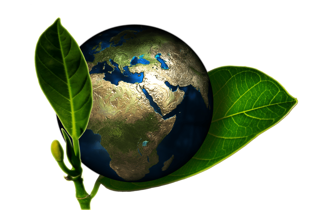 La naturopathie est une discipline globale, holistique.